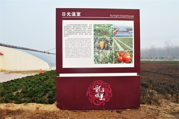 (bio)