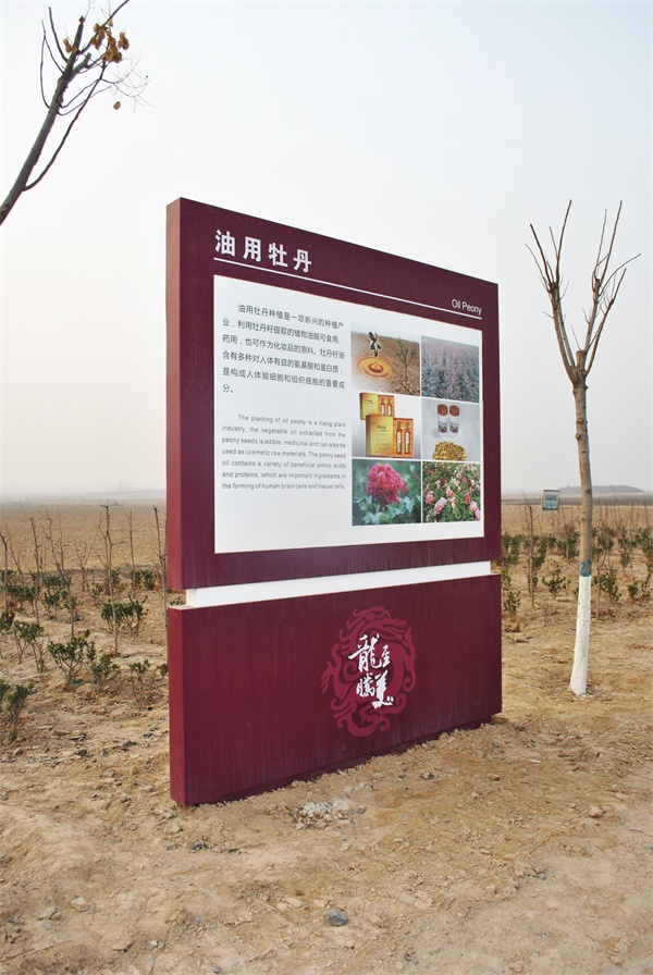 (bio)